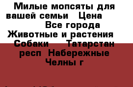 Милые мопсяты для вашей семьи › Цена ­ 20 000 - Все города Животные и растения » Собаки   . Татарстан респ.,Набережные Челны г.